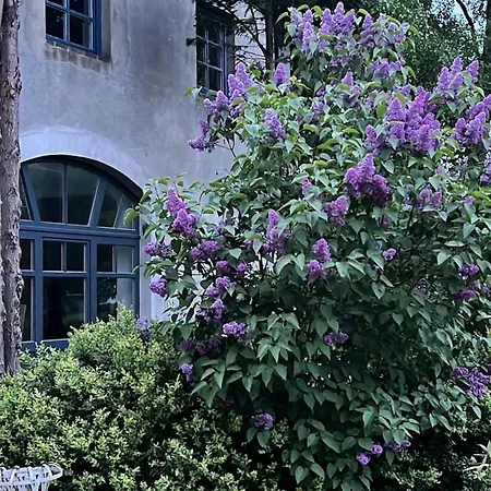Alte Buednerei - 
